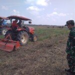 Gerakan Olah Lahan, Kejar Target Swasembada Pangan