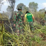 TNI, Polri, MA, MPA Hingga Dua Helly Dikerahkan Padamkan Api