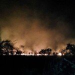 Lahan Dan Hutan Di Kawasan Tol Palindra Rawan Terbakar