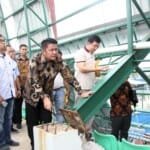 Rusak Akibat Hujan Angin, HD Sebut Kerugian JSC Capai 20 Milyar