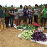 Febrita Deru Jual Hasil Kebun Hingga ke Pasar Induk Jakabaring