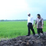 Sumsel Prioritas Lumbung Pangan Nasional