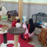 Ada Rumah Kucing dalam Birdpark