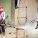 Rutin Lakukan Fogging Tangkal Demam Berdarah