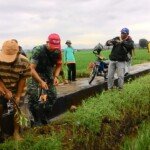 Babinsa Kodim 0406/Mura Dampingi Petani Atasi Hama Wereng Tanaman Padi