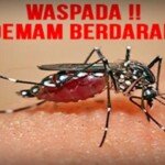Wabah DBD Masih Meluas, Dinkes PALI Dianggap Tidak Serius