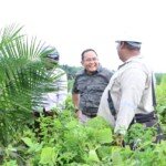 Inovasi Bupati Dodi Reza Konversi Sawit Menjadi Biofuel
