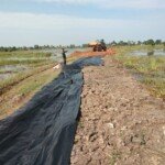 Penimbunan Jalan Penghubung Dilakukan Pemasangan Biotex