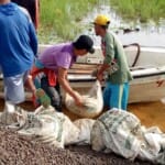 Angkut Koral ke Perahu, Warga dan Satgas TMMD Gotong Royong