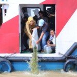 Tebar Benih Ikan, Fitri Minta Masyarakat Tidak Gunakan Racun dan Setrum Saat Tangkap Ikan