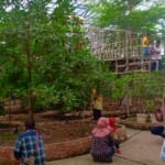 Pengunjung ‘Birdpark’ Naik 40 Persen