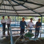 Intursi Air Laut PDAM Kapuas Akan Pasang Pompa Baru