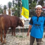 Sisihkan Rezeki, Marbot ini Bisa Kurban Sapi