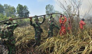 Awas..Pelaku Pembakaran Bisa Tembak Ditempat