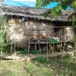 Miris, Rumah Warga Desa Sei Asam Basirih Tak Layak Huni