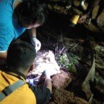 Ditkrimum Polda Sulbar Ungkap Kasus Dugaan Aborsi