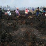Ibu-ibu Bantu Lakukan Pemadaman Kebakaran di Desa Srinanti dan Desa Lubuk Dalam OKI