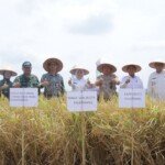 Pemkot Palembang Larang Keras Alih Fungsi Lahan Pertanian Jadi Kawasan Pembangunan Perumahan