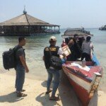 65 Ribu Ekor Baby Lobster Yang ‘Digagalkan’ Beacukai Palembang Dikembalikan ke Habitatnya