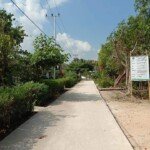 Desa Pantai Terus Membangun