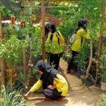 KWT Sari Tani Berharap Pertamina Selalu Berikan Bimbingan dan Penyuluhan Bercocok Tanam