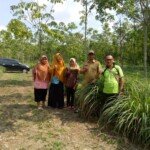 Budidaya “Serai Wangi” Program Percepatan Penurunan Angka Kemiskinan di Kecamatan Lais