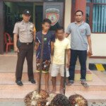 Usai Curi Buah Sawit, Dua Pelaku Curat Ditangkap Polsek Lambu Kibang