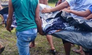 Diduga Diserang Anjing, Warga Kabupaten Sergai Tewas di Areal Kebun