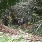 Humas PN Medan Tewas di Sawit Warga