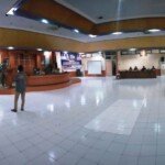 IWO Gelar Seminar Jelang HUT Kabupaten Batanghari ke-71