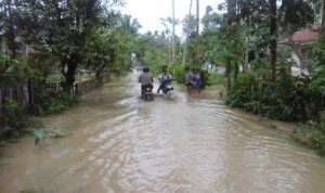 Diguyur Hujan Semalam, 7 Dusun di Aceh Tamiang Terendam Air Bah