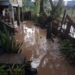 Akibat Lumpur PT GGB Petani Desa Arahan Dirugikan