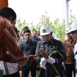 Panen Sorgum Tingkatkan Kualitas Pangan di Sergai