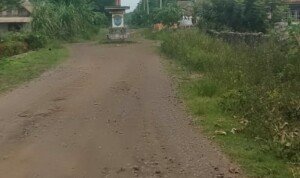 Warga Kabupaten OKI Keluhkan Lampu Jalan yang Tak Kunjung Hidup