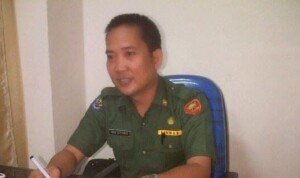 SMS Call Centre Kabupaten OKI Sarana Pelayanan Kesehatan Ibu Hamil