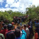 Harimau Sumatra yang Terperangkap di Box Trap akan Dibawa ke Lampung