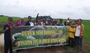 Pendistribusian Pupuk Subsidi di Banyuasin Disesuaikan dengan ERDKK