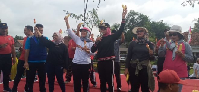 Wagub Lampung Road Show Proker KLA di Tulang Bawang