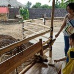 Palembang ‘Bird Park’ Jadi Alternatif Belajar Mengenal Hewan Untuk Anak
