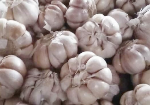 Komoditi Bawang Putih di Jabar Melonjak Tajam