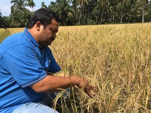 Anggota DPRD Aceh Soroti Kelangkaan Mesin Pemotong di 2 Kabupaten