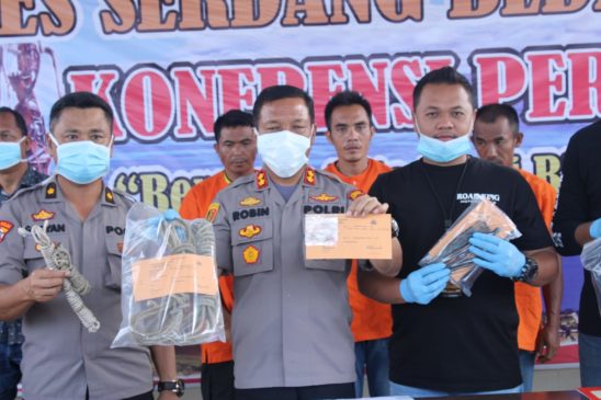 Komplotan Pencuri Sapi Diringkus