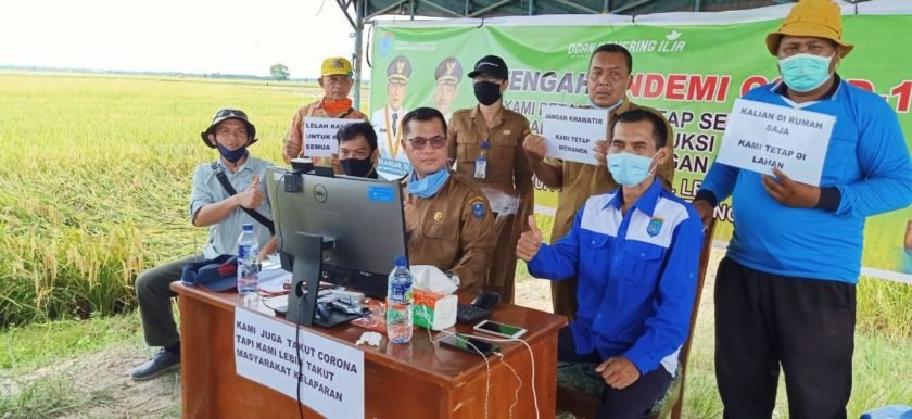 Petani Pahlawan Pangan Saat Pandemi, Stok Aman Hingga Oktober