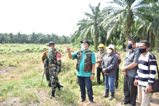 Bupati Sergai Tinjau Lokasi Lahan untuk Pemakaman Korban Covid-19