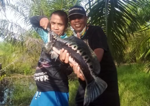 Para Angler di Batanghari Berharap Pemerintah Serius Tangani Ekosistem Sungai