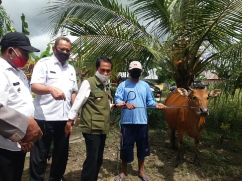 Bupati Nelson Targetkan Gorontalo Jadi Pusat Produksi Ternak Sapi