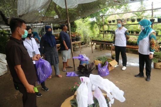Feby Deru: Usaha Tanaman Hias Jadi Alternatif Meningkatkan Pendapatan Keluarga