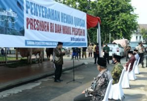 Presiden Jokowi Serahkan Hewan Kurban di Masjid Istiqlal Jakarta