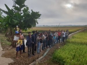 Kementrian Pertanian Tinjau Langsung Lahan Oplah Rantau Bayur Banyuasin