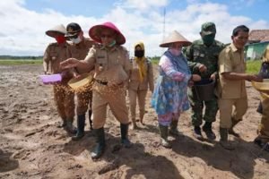 Wabup Banyuasin Tabur Benih Padi di Kecamatan Rantau